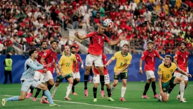 عامل توصيل يبرز في احتفالات تأهل مصر إلى ثمن نهائي المونديال (فيديو)
