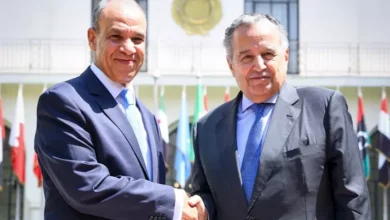 عبد العاطي يهنئ نبيل فهمي بتعيينه أميناً عاماً للجامعة العربية