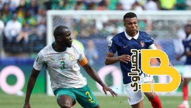 كوليبالي: بلجيكا تتجنب مواجهتنا.. نحن أبطال أفريقيا! 4 كوليبالي: بلجيكا تتجنب مواجهتنا.. نحن أبطال أفريقيا!
