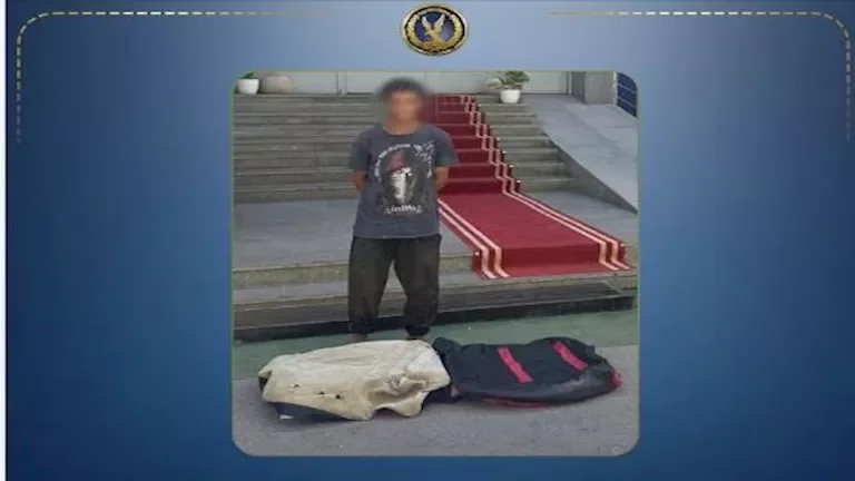متسول في الإسماعيلية يتحول إلى "بيت سري" داخل شجرة لتفادي ملاحقات الأمن