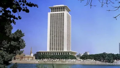 مصر تعبر عن إدانتها للهجمات الإرهابية في باكستان