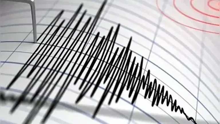 مصر تعبر عن تضامنها مع اليابان وتقدم التعازي لضحايا الزلزال