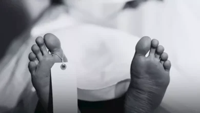 مقتل محامية في الدقهلية بعد 10 سنوات من النزاع إثر اقتحام منزلها عبر الشرفة بعد قطع الكهرباء
