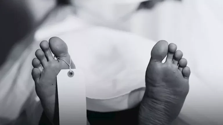 مقتل محامية في الدقهلية بعد 10 سنوات من النزاع إثر اقتحام منزلها عبر الشرفة بعد قطع الكهرباء