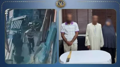 نجار يعتدي على شقيقه وزوجته بسلاح أبيض في البحيرة بسبب خلافات الميراث | فيديو