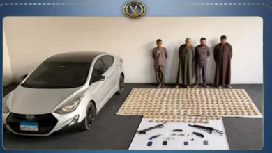 إحباط تهريب 16 مليون جنيه من المخدرات والآثار في منشأة القناطر واعتقال العصابة المتورطة