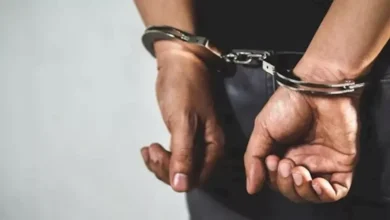 إلقاء القبض على شبكة تروج لشهادات مزورة في الدقي تستهدف الشباب