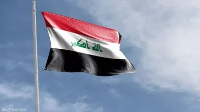 اكتشاف كهف مائي فريد في العراق يضم أسماكًا عمياء مهددة بالانقراض