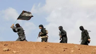 الأمم المتحدة: داعش لا يزال يشكل تهديدًا للأمن الدولي