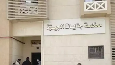 الجنايات تصدر حكمًا بالسجن 6 سنوات على "طبيب كرداسة" بتهمة حرق أجنة وإجهاض قاصرات