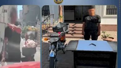 الداخلية تضبط سائقًا سمح لسيدات وأطفال بالجلوس في صندوق السيارة لحماية السلامة العامة 2 الداخلية تضبط سائقًا سمح لسيدات وأطفال بالجلوس في صندوق السيارة لحماية السلامة العامة
