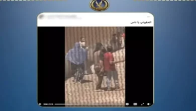 الداخلية توضح تفاصيل فيديو الاعتداء على سيدة في كفر الشيخ 3 الداخلية توضح تفاصيل فيديو الاعتداء على سيدة في كفر الشيخ