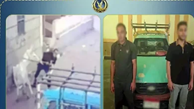 الداخلية توضح تفاصيل فيديو البلطجة وترويج المخدرات في الدقهلية