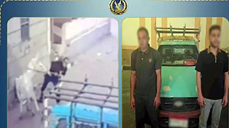 الداخلية توضح تفاصيل فيديو البلطجة وترويج المخدرات في الدقهلية 1 الداخلية توضح تفاصيل فيديو البلطجة وترويج المخدرات في الدقهلية