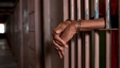 القصة الكاملة لمقتل مصرية في ألمانيا بعد حكم بالسجن 12 عامًا على زوجها