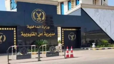 "القليوبية: ضبط سيدة بتهمة سب سائق توك توك بعد نزولها بعيدًا عن منزلها"