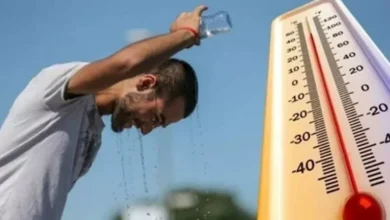 النمسا تسجل رقماً قياسياً في الوفيات بسبب الحرارة خلال شهرين