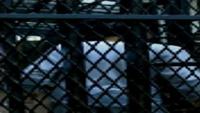 النيابة العامة تقرر حبس متهمين بالتداخل في وظيفة عمومية والنصب وتحيلهم إلى المحاكمة الجنائية العاجلة