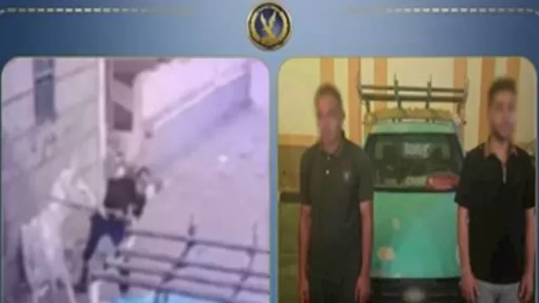تحقيق في واقعة تحطيم سيارة بالحجارة في البحيرة بعد تداول فيديو على وسائل التواصل الاجتماعي 1 تحقيق في واقعة تحطيم سيارة بالحجارة في البحيرة بعد تداول فيديو على وسائل التواصل الاجتماعي