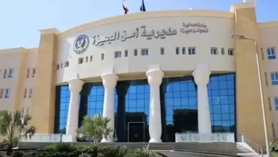 "تحقيقات تكشف ملابسات فيديو 3 أشقاء في الجيزة أثناء محاولتهم مسك باب المترو"