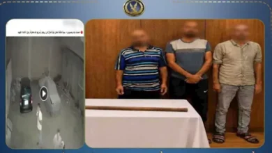 تفاصيل مشاجرة طوخ بالقليوبية: الداخلية تكشف عن سيدة حركة "أندر تيكر"