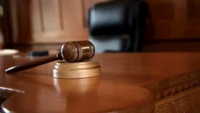 حجز البلوجر دهب أشرف و3 آخرين بتهمة التعدي على طفلين في المقطم