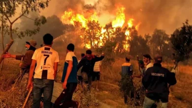 حرائق مدمرة في الجزائر تلتهم الغابات وتؤدي إلى خسائر بشرية