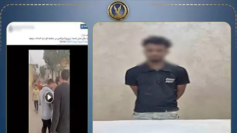 سقوط بلطجي في مركز السادات بالمنوفية بعد انتشار فيديو لاستعراض القوة