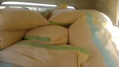 ضبط 31 طن دقيق و3 ملايين جنيه خلال حملات تفتيشية على الأسواق في العراق