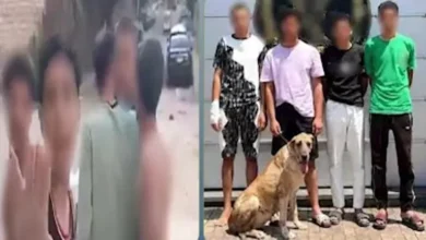 ضبط 4 عاطلين في الإسكندرية بعد تداول فيديو لمشاجرة باستخدام كلب للسيطرة