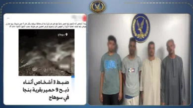 ضبط تشكيل عصابي في سوهاج متخصص في ذبح الحمير للحصول على جلودها 3 ضبط تشكيل عصابي في سوهاج متخصص في ذبح الحمير للحصول على جلودها