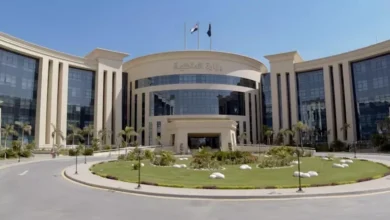 ضبط صاحب "فيديو الادعاء الكاذب" في الإسكندرية بعد اعتراضه على الغرامة
