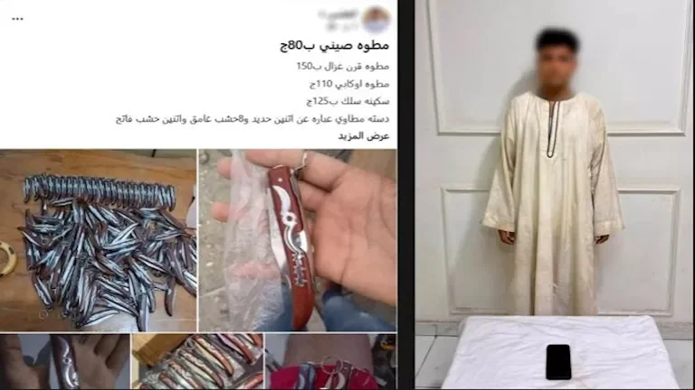 ضبط طالب في نجع حمادي بتهمة تزوير صفحة لبيع السلاح عبر الإنترنت