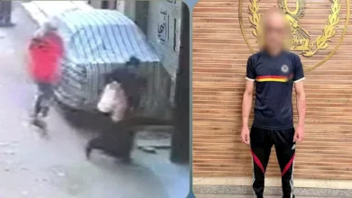 "ضبط عامل في القليوبية بعد تداول فيديو يظهر اعتداءه على طليقته بحجر في الشارع"