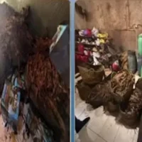 ضبط مصنع غير مرخص لإنتاج المعسل بعلامة تجارية وهمية في دمياط