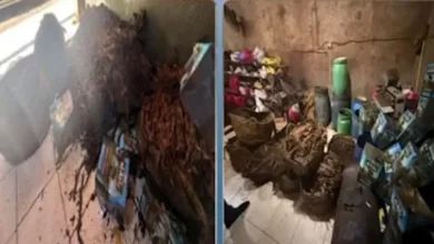 ضبط مصنع غير مرخص لإنتاج المعسل بعلامة تجارية وهمية في دمياط