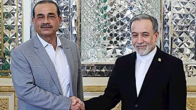 عراقجي وعاصم منير يشددان على أهمية تعزيز السلام والأمن في المنطقة