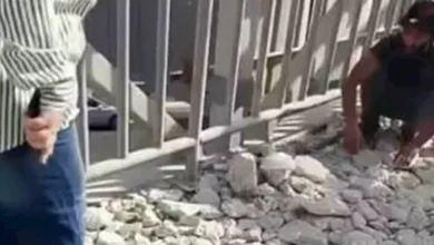 "فيديو أسياخ حديد كوبري الهضبة الوسطى بالمقطم: توضيح حول أعمال الصيانة بعد شائعات السرقة"