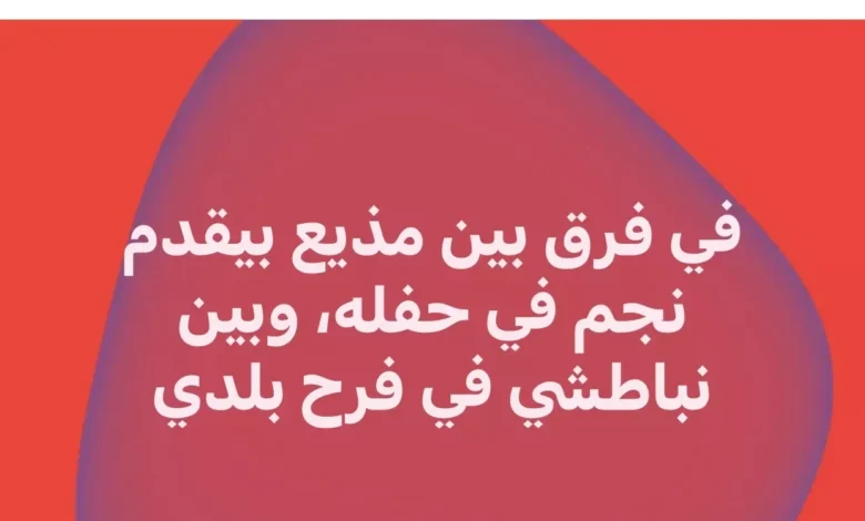 ماجدة خير الله تنتقد تقديم حفل شيرين: "فرق بين المذيع والنباطشي"