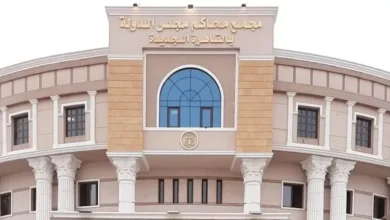 "مجلس الدولة يؤكد: لا مواد خطرة في الجسم الغريب المكتشف بالرحاب"
