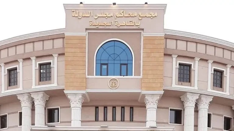 "مجلس الدولة يؤكد: لا مواد خطرة في الجسم الغريب المكتشف بالرحاب"