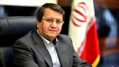 محافظ البنك المركزي الإيراني يعلن بدء تخزين العملة الأجنبية