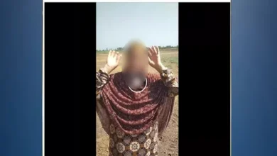 مشاجرة بين زوجة وعم زوجها في كفر الشيخ بسبب خلاف على أرض زراعية