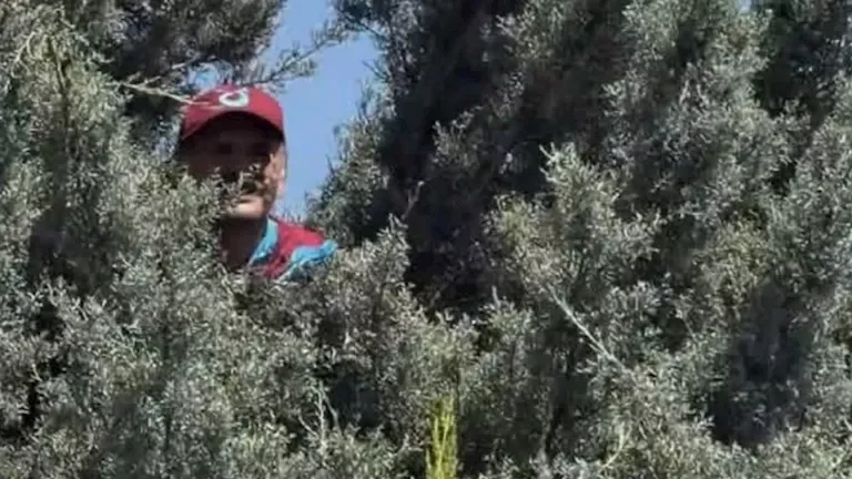 مشجع طرابزون يتسلق شجرة لمتابعة وصول محمد صلاح إلى تركيا 1 مشجع طرابزون يتسلق شجرة لمتابعة وصول محمد صلاح إلى تركيا