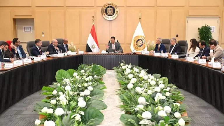 مصر تطلق خطة طموحة لتصنيع هياكل السيارات بالكامل محليًا وزيادة المكون المحلي