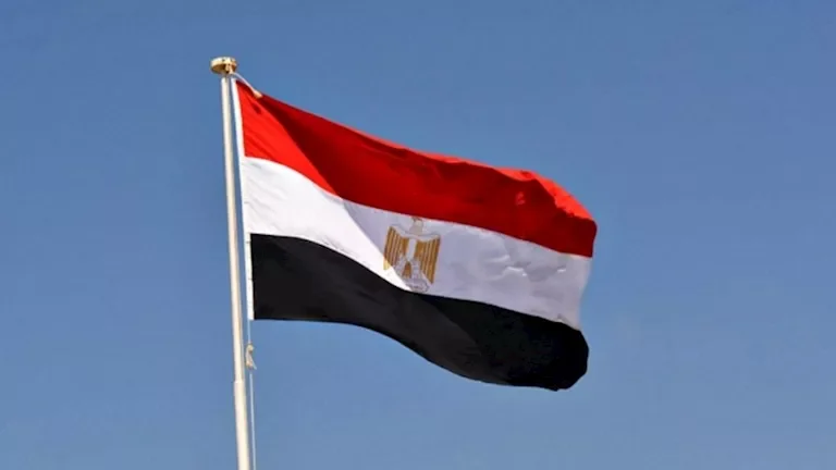مصر تعبر عن دعمها للنيجر وتؤكد أهمية استقرار مؤسساته بعد الهجمات المسلحة