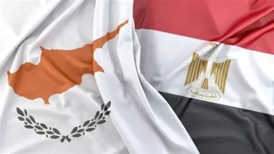 مصر تقدم تعازيها لقبرص في ضحايا انقلاب قارب قبالة سواحلها