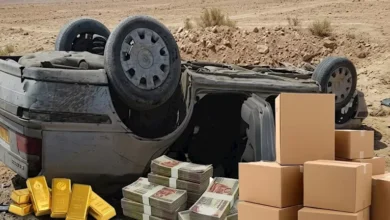 "مطاردة مثيرة على طريق الواحات تنتهي بضبط 10 ملايين و155 سبيكة ذهب مقلدة"