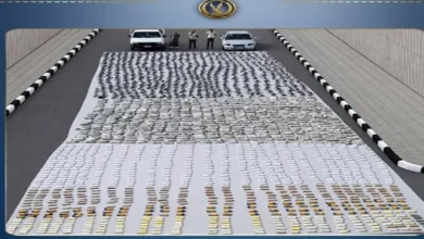 مقتل 6 عناصر إجرامية وضبط مخدرات بقيمة 390 مليون جنيه في عملية أمنية ضد تجار الكيف والسلاح