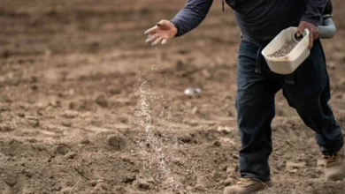 مكاسب مليارية لشركات الأسمدة في مصر بسبب أزمة الشرق الأوسط